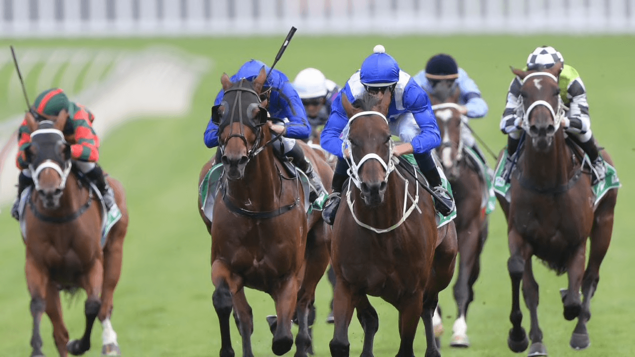 Winx on turf