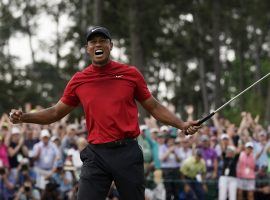 Tiger Woods won his fifth Masters, and gamblers collected big payouts at local sportsbooks. (Image: AP)