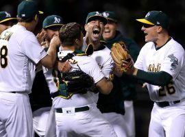 Mike Fiers pitched his second career no-hitter on Tuesday night, as the Oakland Aâ€™s pitcher shut down the Cincinnati Reds. (Image: AP)