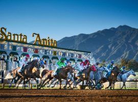 After the 26th death of a horse at Santa Anita last weekend, animal activists were joined by Senator Dianne Feinstein seeking a temporary closure of the iconic race track. (Image: Santa Anita)