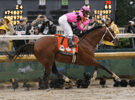 Maximum Security with Luis Saez aboard crosses the Kentucky Derby finish line first but loses only to be de'd. (Image: AP)