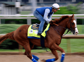 Improbable for trainer Bob Baffert 5/2 morning line favorite in Saturday's Preakness Stakes at Pimlico (Image: USA TODAY/ Sports)