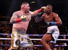 Andy Ruiz Jr. stunned the world by defeated world heavyweight champion Anthony Joshua by knockout in the seventh round of their fight at Madison Square Garden on Saturday. (Image: Getty)