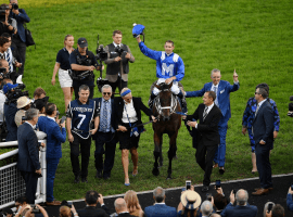 Winx along with her connections say goodbye to her adoring fans as she captures her 33rd consecutive victory . Image: (Agence France-Presse)