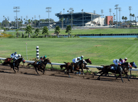 Southern California's troubled Thoroughbreds merry-go-round shifts to Los Alamitos this week. (Image:Jeff Gritchen, Orange County Register)