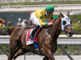 Will she or won't she? Can Vaslika the outstanding turf mare get into the Breeders' Cup if her trainer is banned at Santa Anita. Many question about the event still remaining. (Image: Melanie Martines)