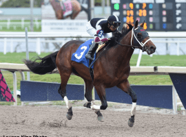 Stanley Hough's Global Campaign, an easy winner in at Gulfstream earlier this year heading to Buckeye State Saturday. (Image: Lauren King)