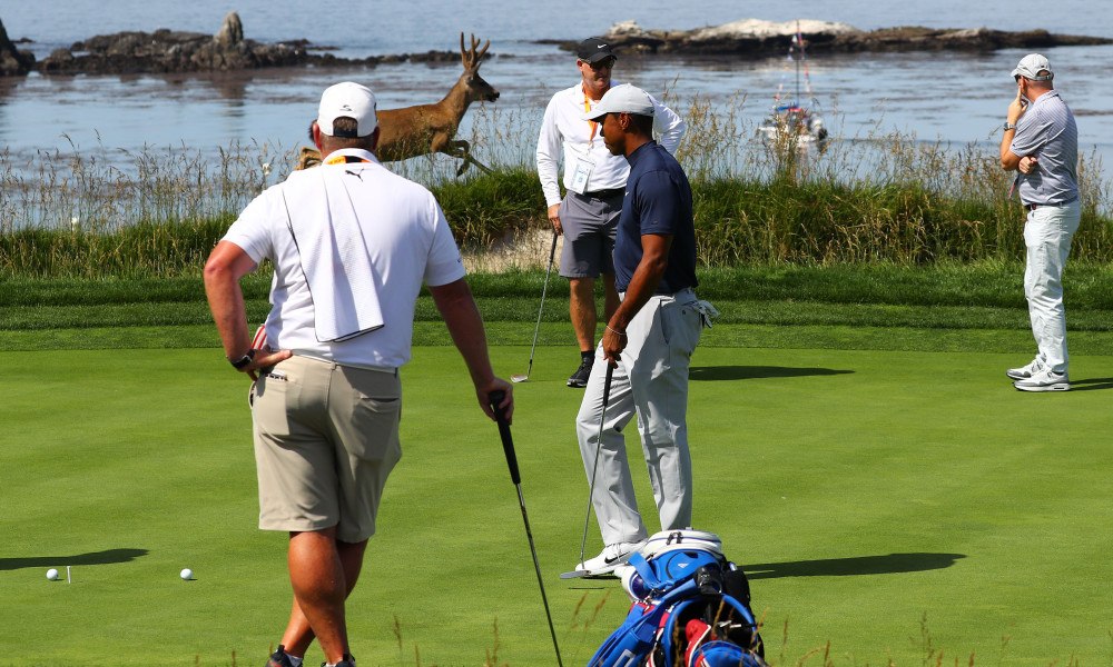 Tiger Woods
