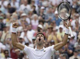 Novak Djokovic celebrates after defeating David Goffin in the quarterfinals of the 2019 Wimbledon menâ€™s draw. (Image: Tim Ireland/AP)