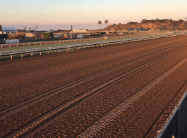 Increasing equine safety top priority as Del Mar begins 80th season. Image: (Alex Ashlock/Here & Now)