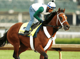 Maximum Security in training at Monmouth Park.  (Image: AP)