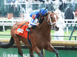 Mr. Money grabs the cash in the Pat Day Mile, hist first of three straight stakes wins. ( (Photo: Courtesy of Coady Photography/Churchill Downs))