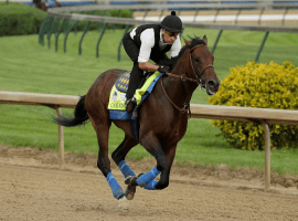 Rested and Ready Game Winner may come back Saturday in Los Alamitos Derby. (Charlie Riedel/AP)