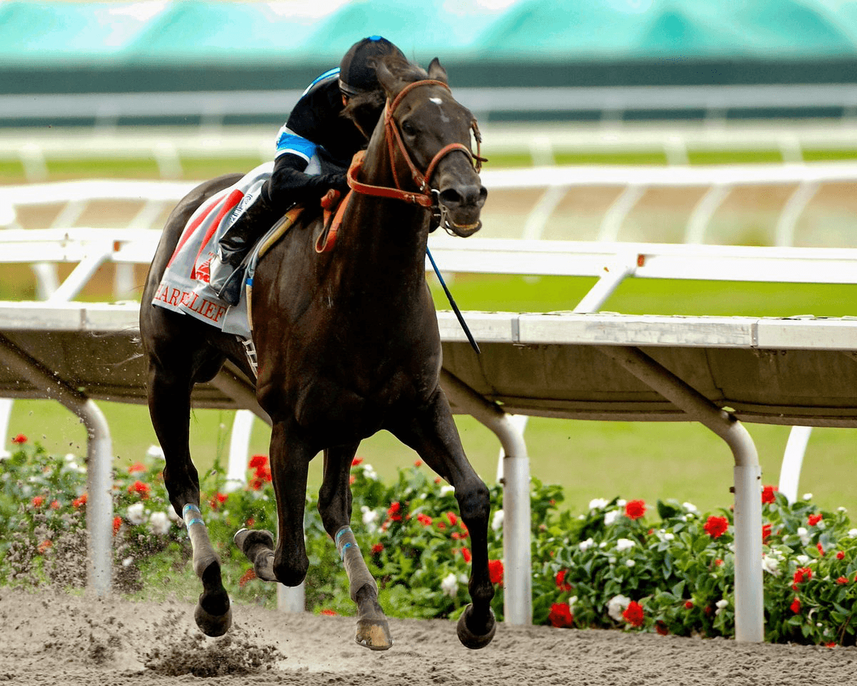 Shared Belief under rider Mike Smith