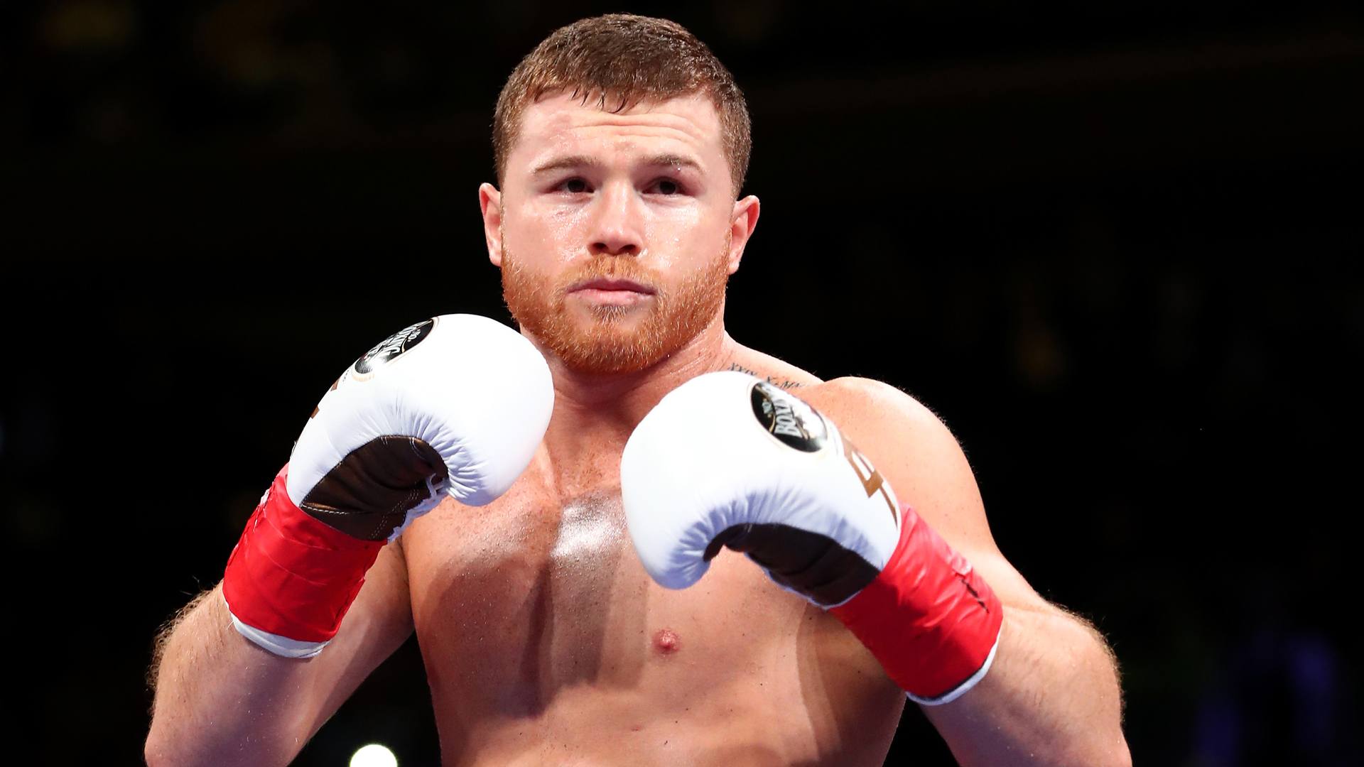 Canelo Alvarez IBF title