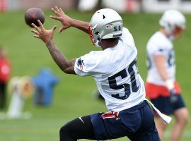 Everyone in New England is wild about Patriots rookie WR N’Keal Harry. (Image: Bob DeChiara/USA Today Sports)