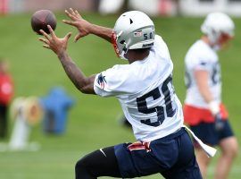 Everyone in New England is wild about Patriots rookie WR Nâ€™Keal Harry. (Image: Bob DeChiara/USA Today Sports)