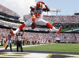 Cleveland Browns TE  David Njoku spikes the ball after a touchdown last season. (Image: Robb Carr/Getty)