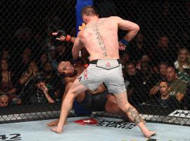 Stipe Miocic scored a fourth-round TKO victory over Daniel Cormier at UFC 241 to regain the heavyweight championship. (Image: Josh Hedges/Zuffa/Getty)