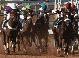 "We want the best horses here at King Abdulaziz Racetrack in Riyadh, Saudi Arabia.
(Image: AFP)