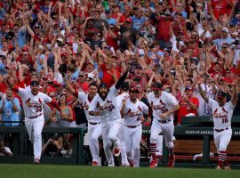 St. Louis Cardinals celebrate their 11th division crown since the inception of the NL Central. (Image: AP)