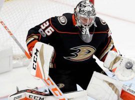 Anaheim goalie John Gibson was one of the Ducks strongest players, and should help keep them out of the cellar this year. (Image: AP)