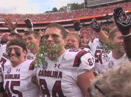 They upset Georgia, but a South Carolina second consecutive upset will be a tough call against Florida on Saturday. (Image: AP)