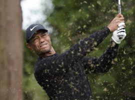 Tiger Woods grabbed a share of the first-round lead at the Zozo Championship, but the second round was suspended due to heavy rains. (Image: AP)