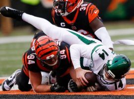 NY Jets QB Sam Darnold is sacked for a safety by Cincinnati Bengals safety Shawn Williams. (Image: Gary Landers/AP)