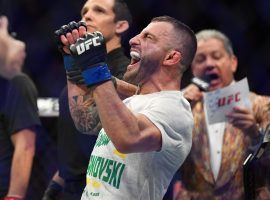 Alexander Volkanovski defeated Max Holloway by unanimous decision to win the UFC featherweight title at UFC 245. (Image: Stephen R. Sylvanie/USA Today Sports)