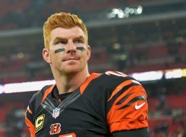 Cincinnati quarterback Andy Dalton is playing again after being benched and could be a key to the Bengals-Browns game on Sunday in Cleveland. (Image: Getty)