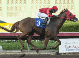 Three-year-old Club Aspen is the favorite for Saturday's Cal Cup Derby. (Image: Santa Anita Park)