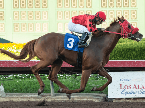 Club Aspen, California Cup Derby favorite