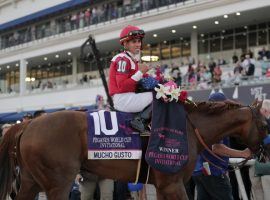 Mucho Gusto set for Mucho Dollars After Invite to $20 Million Saudi Cup