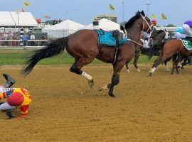 It's hard to forget BodExpress dumping jockey John Velazquez right out of the gate and running the entire Preakness without a rider, but is it the one defining moment that captures 2019 in horse racing? (Image: Jonh McDonnell/AP)