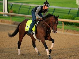 Omaha Beach was the favorite in the Pegasus World Cup before being scratched. (Image: Andy Lyons/Racing Post)