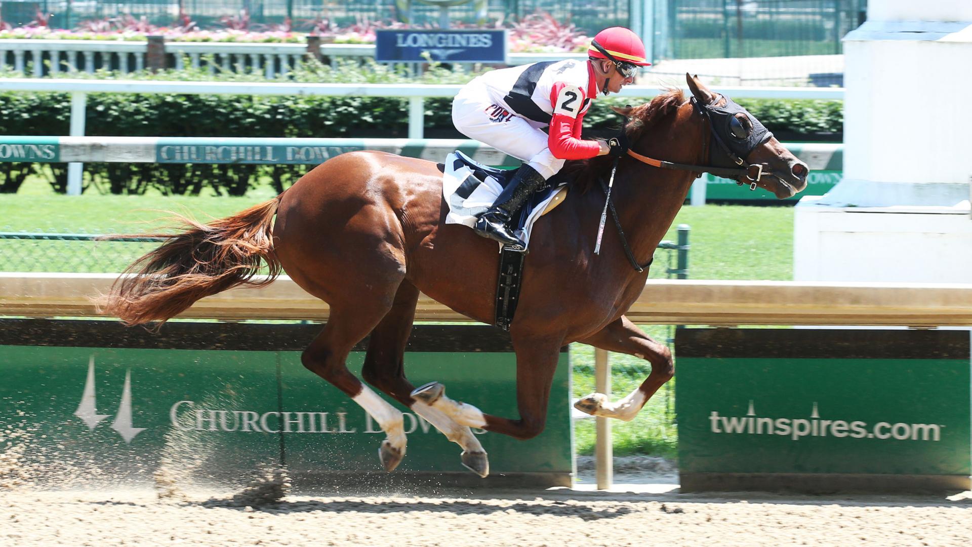 Scabbard race horse