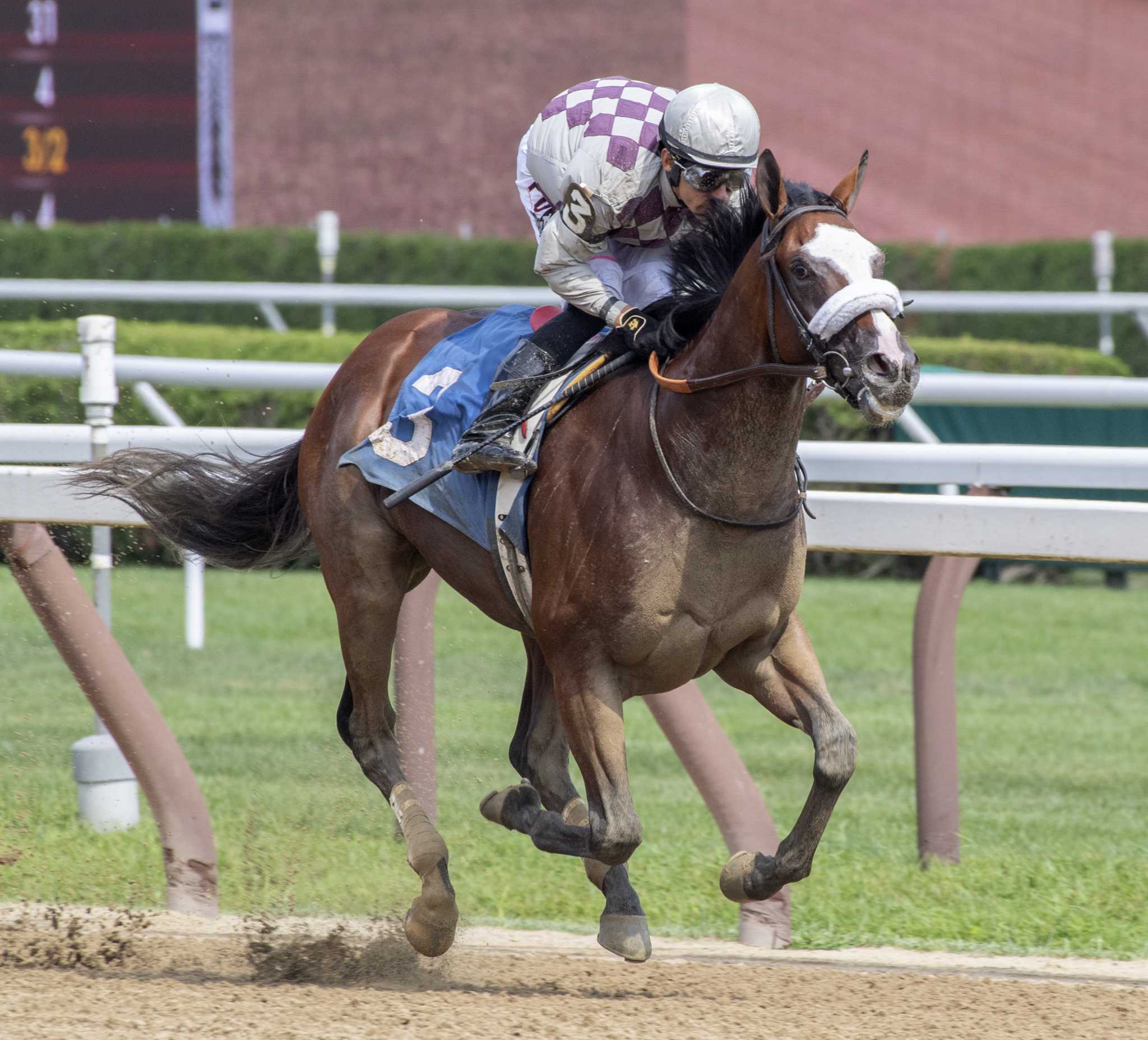 Tiz the Law was throttled back after building a commanding lead by jockey Junior Alvarado to win the 5th race on the card at the Saratoga Race Course waiting to watch one of his horses to work Thursday Aug. 8, 2019 in Saratoga Springs, N.Y. Managing partner of Sacktoga Stables who owns Tiz the Law said in the winnerÃ•s circle that this horse was second best horse he has had in the stable.  Sackatoga was the owner of Kentucky Derby and Preakness winner Funny Cide who was also trained by Barclay Tagg.   Photo Special to the Times Union by Skip Dickstein