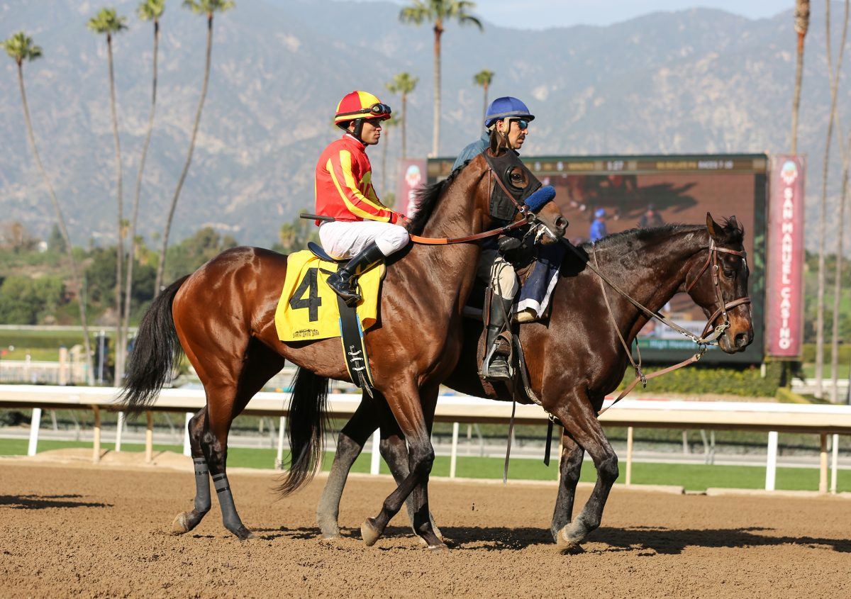 Azul Coast at Santa Anita