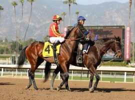 Azul Coast, seen here at Santa Anita before his runner-up finish in the Sham Stakes, is the favorite for Saturday's El Camino Real Derby. (Image: OG News)