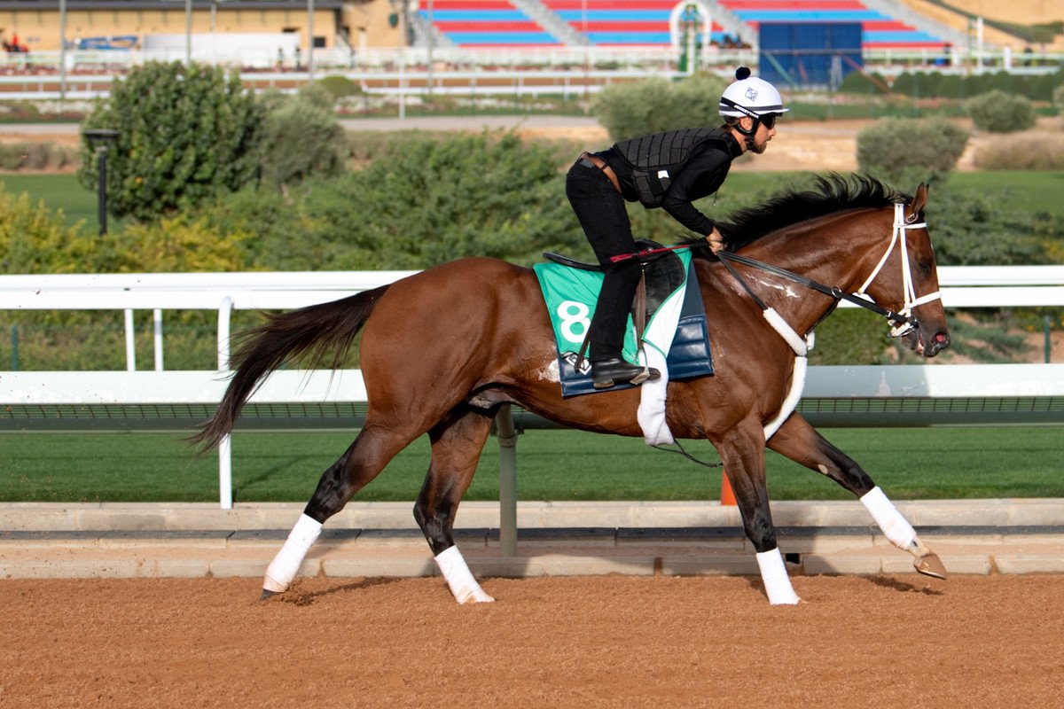 Maximum Security in Riyadh for the Saudi Cup