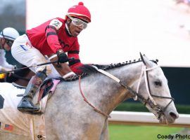 Silver Prospector, ridden by Ricardo Santana, Jr., won the Southwest Stakes and is the horse to watch this weekend. (Image: Coady Photography)