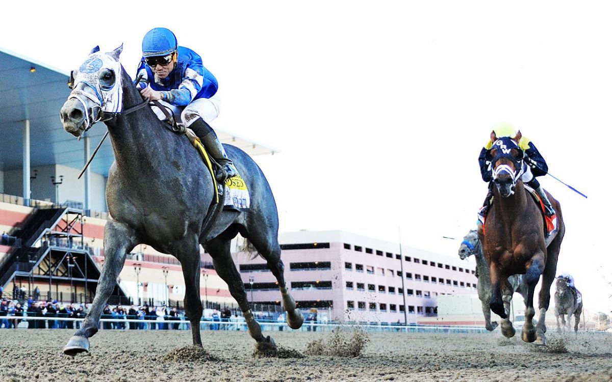 Aqueduct Park backstretch