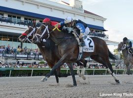 Chance It, seen here at Gulfstream Park beating As Seen On Tv by a nose in the Mucho Macho Man Stakes, has won four of his last six races. (Image: Lauren King)