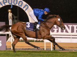 $12 Million Dubai World Cup Becomes Latest COVID-19 Casualty