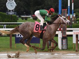 Even in a deep, talented Florida Derby field, it's not a stretch to picture Gouverneur Morris and John Velasquez emerging victorious. Velasquez owns five Florida Derby victories in eight trips and no finish worse than third. (Image: Coglianese Photos)