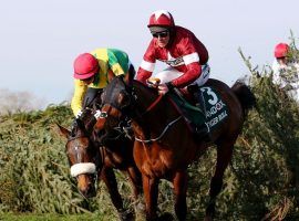 Tiger Roll, seen here during his 2019 Grand National victory, was trying to break through with an unprecedented Grand National three-peat. That will have to wait until 2021. (Image: RTE)