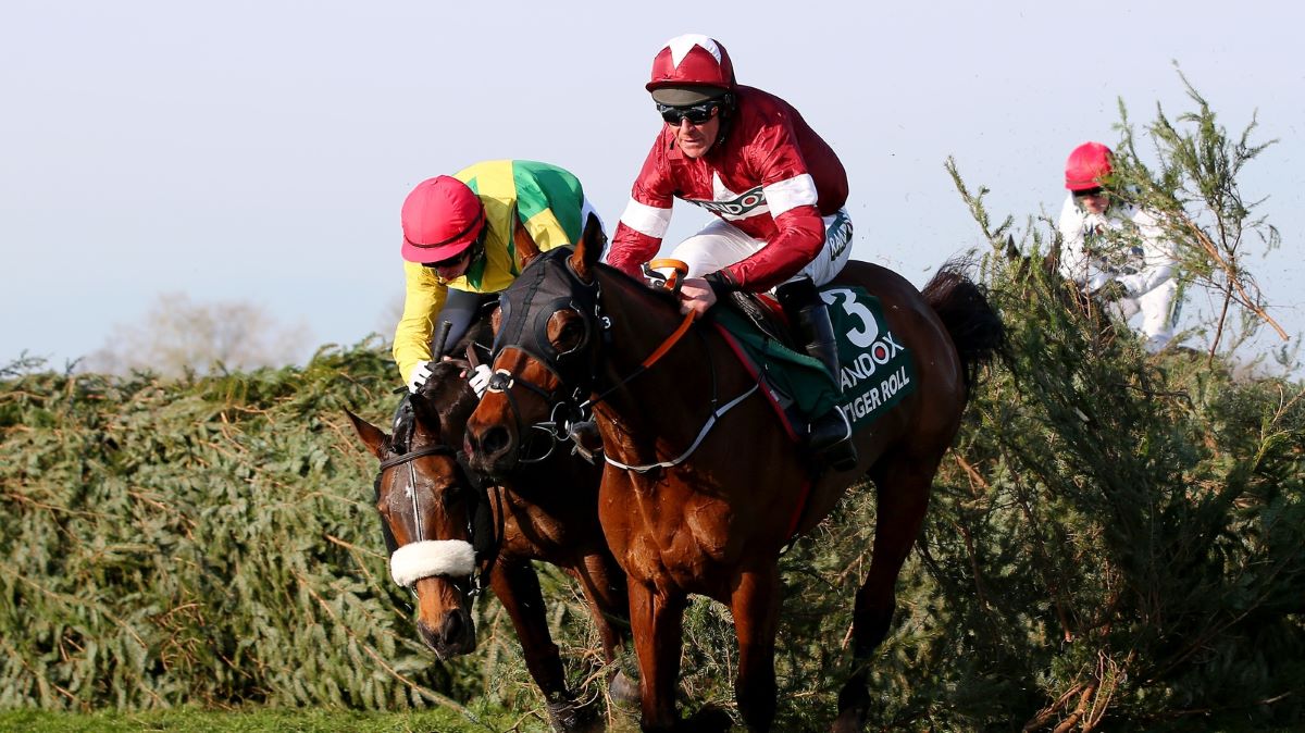 Tiger Roll at 2018 Grand National