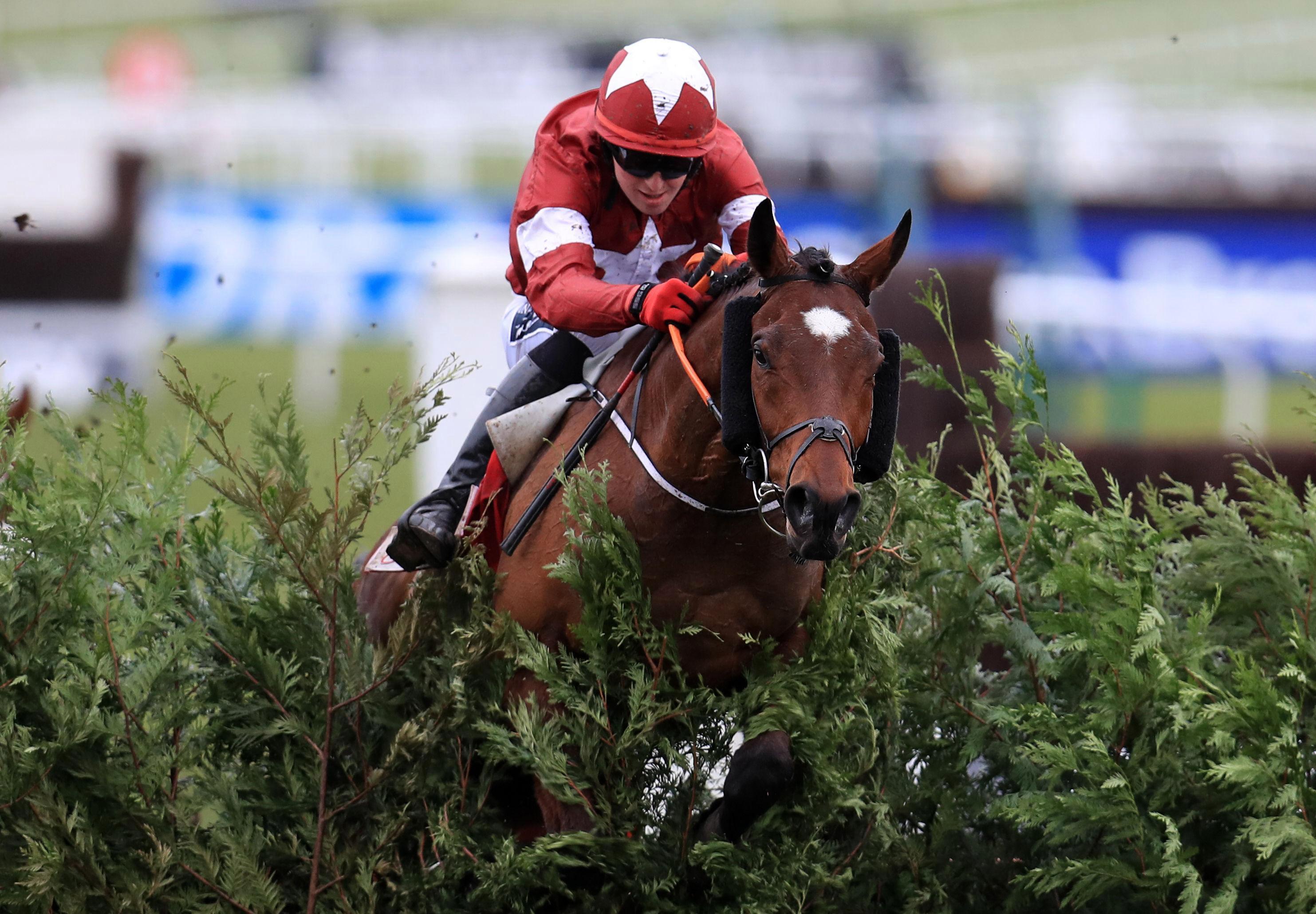 Tiger Roll Grand National