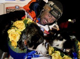 Thomas Waerner, of Norway, celebrates winning the 2020 Iditarod with his lead dogs, Bark and K2, at the finish line in Nome, Alaska. (Image: Marc Lester/AP)